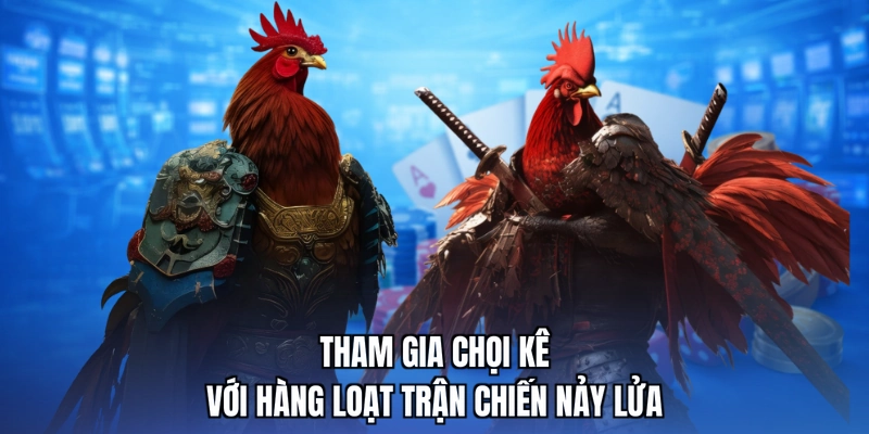 Tham gia chọi kê với hàng loạt trận chiến nảy lửa
